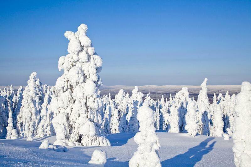 Rovavisit Siljo Рованиеми